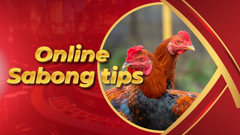 Online Sabong Tips: Enhance Your Cockfighting Experience